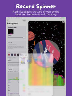 Record Spinner screenshot 8