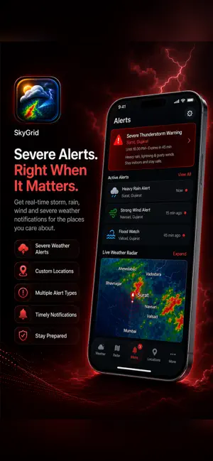 SkyGrid: Live Weather & Radar screenshot 2