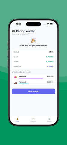 Stashy - Daily budget tracker Screenshot 7 of 10