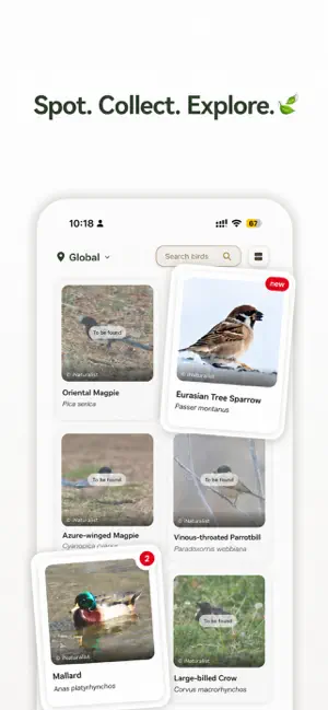 Perchly - Bird Journal screenshot 4