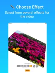imagetwist: images to video айпад изображения 2