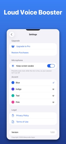 Bluetooth Speaker Mic - BM Screenshot 5 of 5