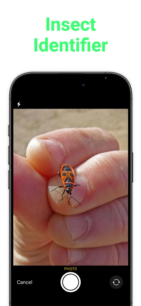 #1. Bug Identifier ◦ Insect ID (iOS) Ved: Ikhwan Noorsetyo