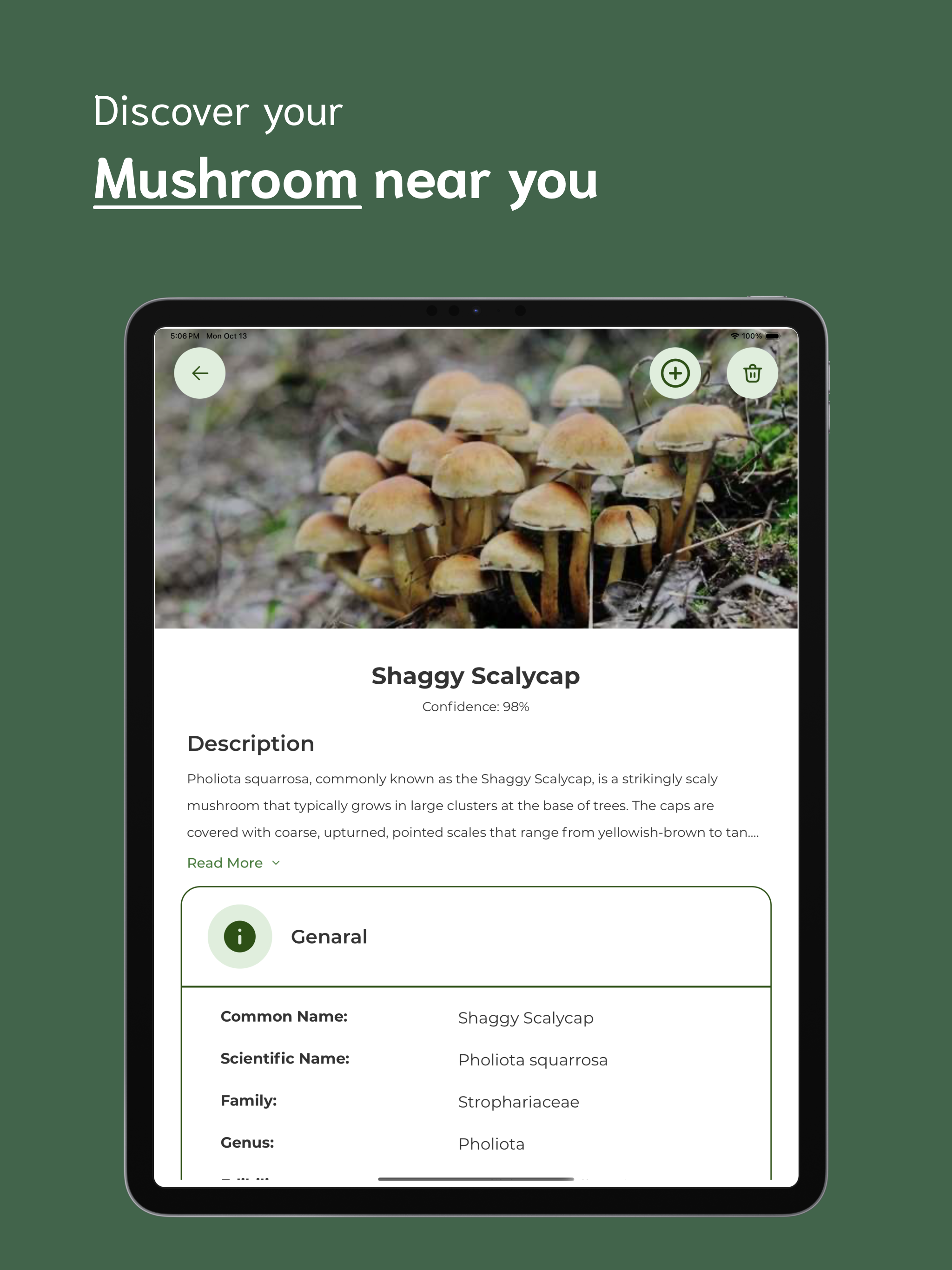 Mushroom Identifier - MI screenshot 8
