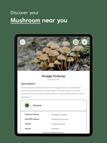 Mushroom Identifier - MI iPad screenshot