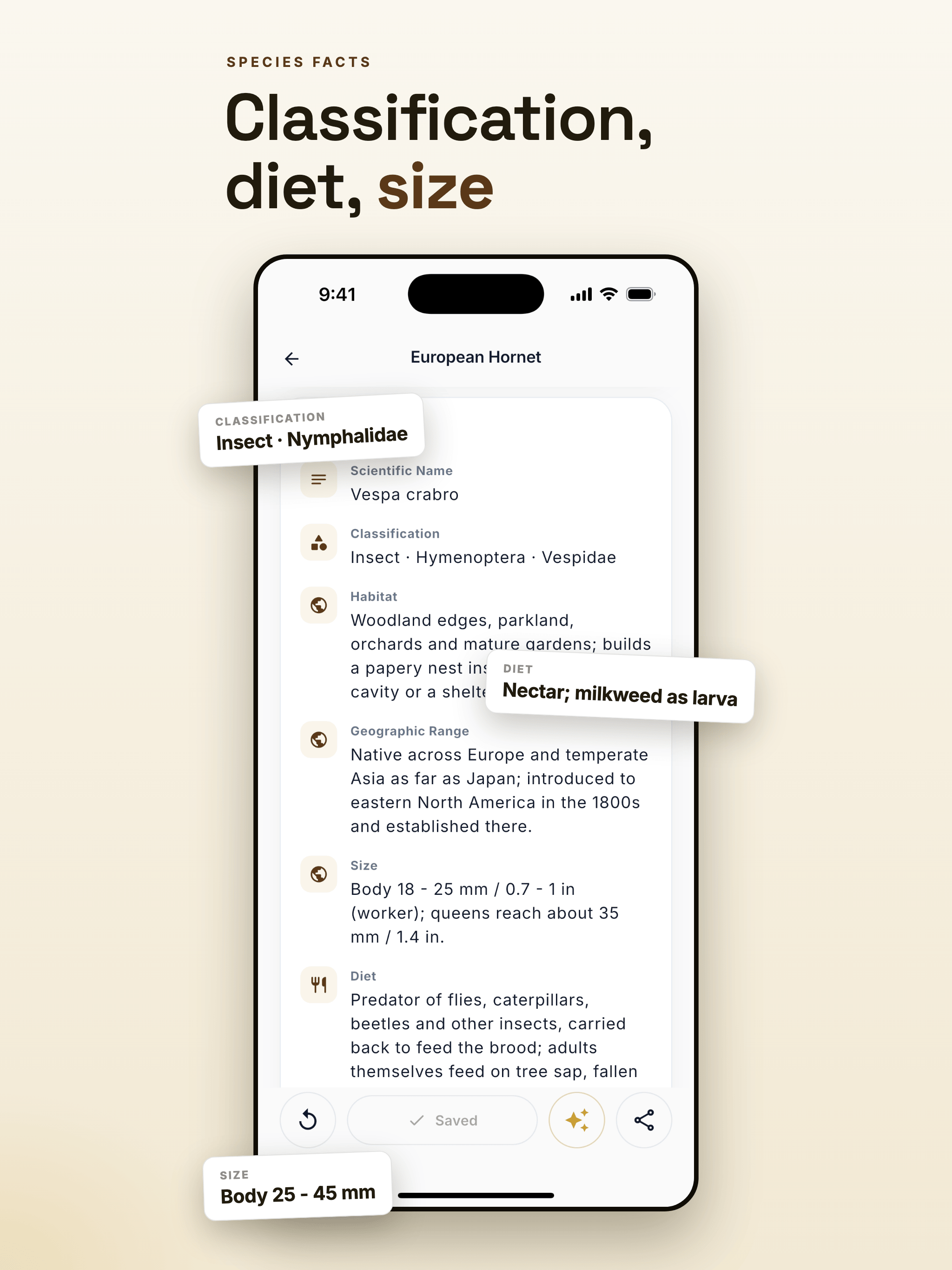 Insect Identifier & Bug ID screenshot 10