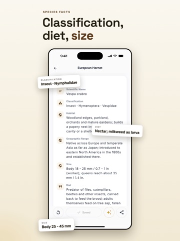 Insect Identifier & Bug Finder iPad screenshot