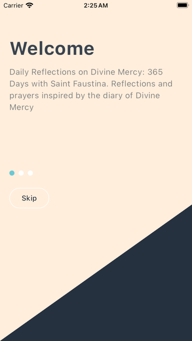 Divine Mercy Reflections Screenshot