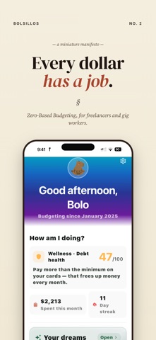 Bolsillos: Offline Budget App Screenshot 2 of 8