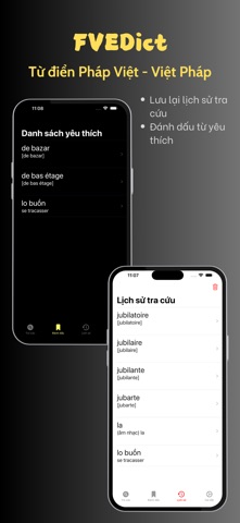 FVEDict - Từ Điển Pháp Việt screenshot