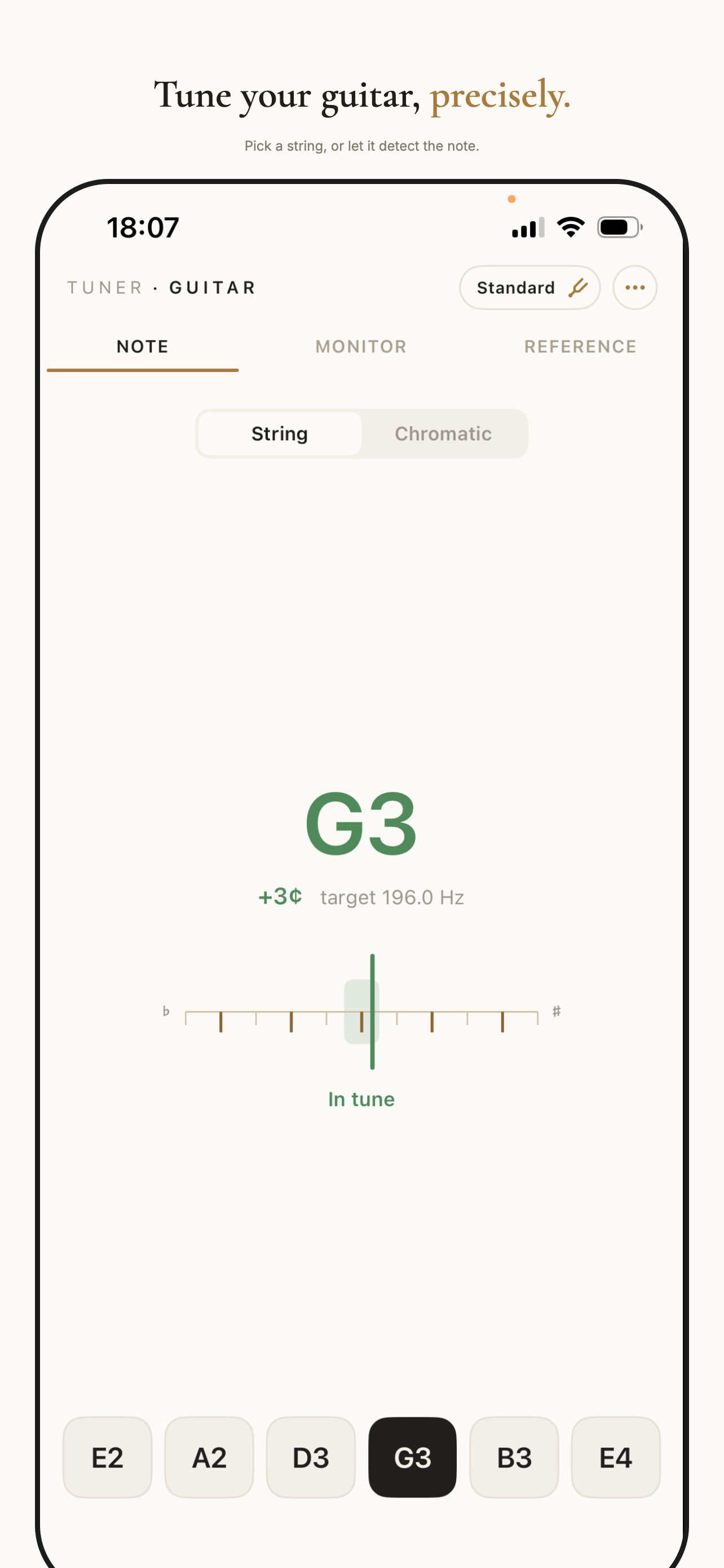 Screenshot 2 of Professional Tuner