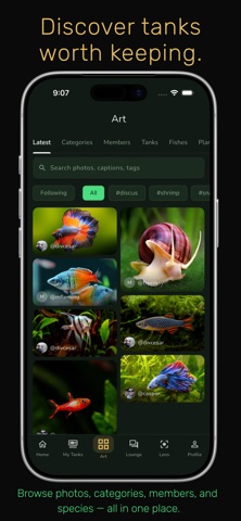 FishRoom screenshot
