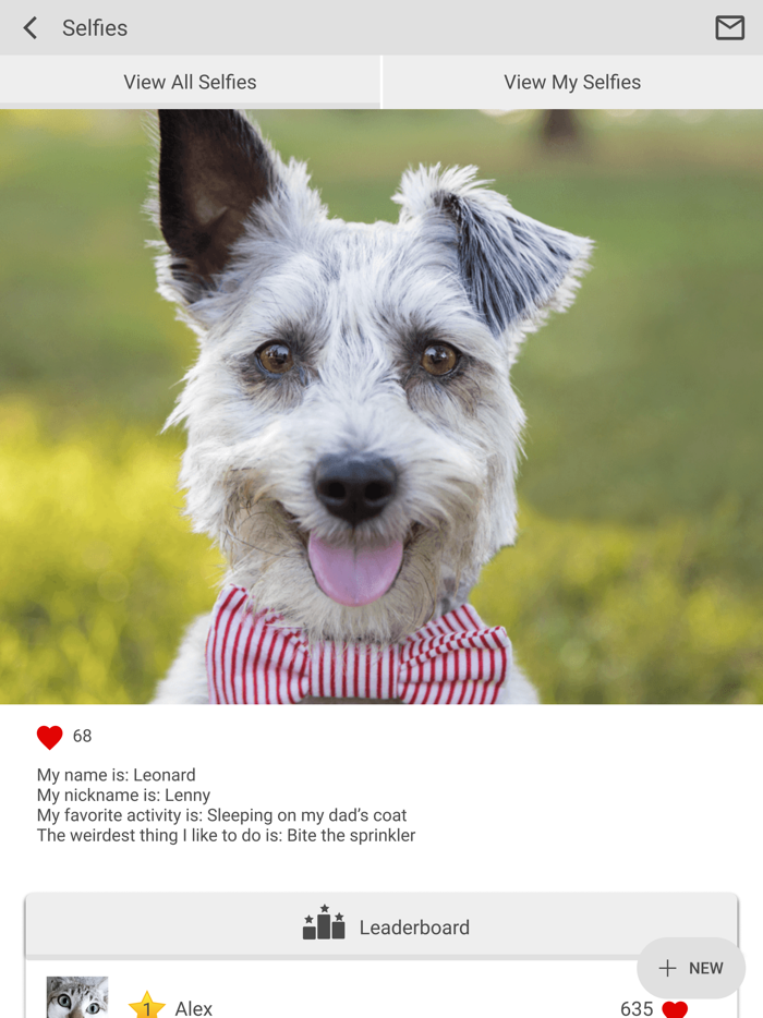 Pantano Animal Clinic