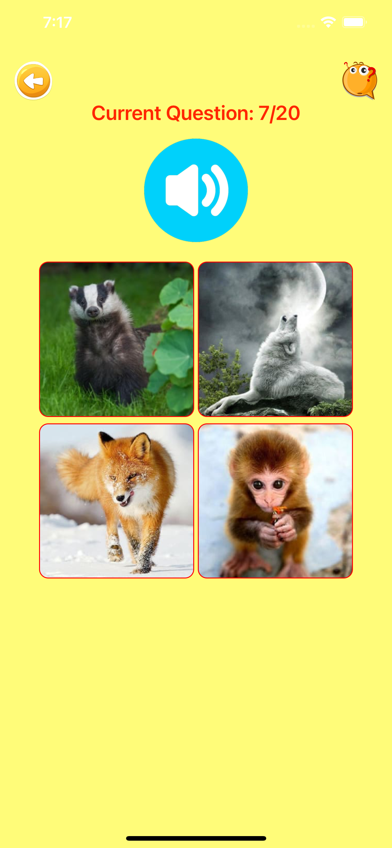 Learn Greek Voca Flashcards screenshot 5