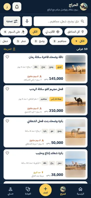 Souq Al-Ibl: Camel Auctions screenshot 2