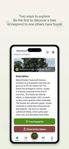 TreeGo Screenshot 3