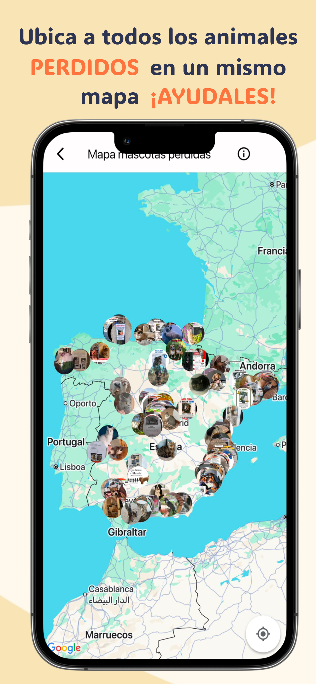 SocialPets screenshot 3