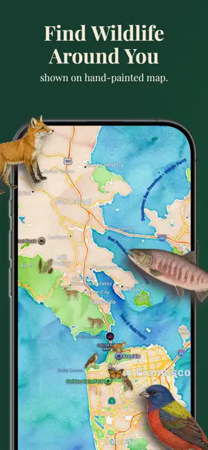 Huck: Animal Identifier screenshot 2