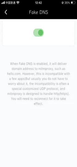 Скриншот Mitmproxy Client By Txthinking на iPhone 3