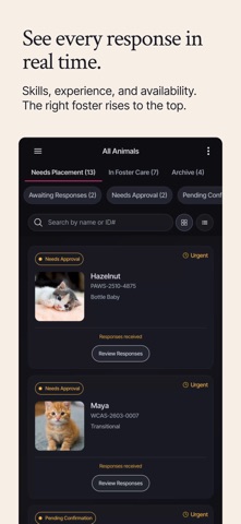 Pawsitive Foster screenshot