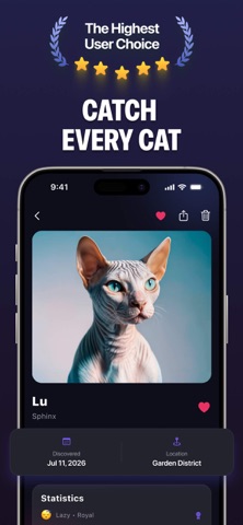 Cat Finderㅤ screenshot 1