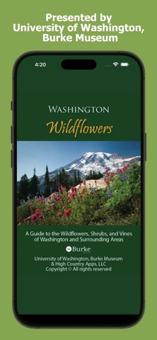 Washington Wildflowers screenshot