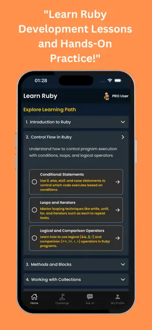 Learn Ruby: Code & Build screenshot 2