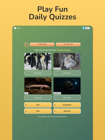 Animalz: Learn & Collect iPad screenshot