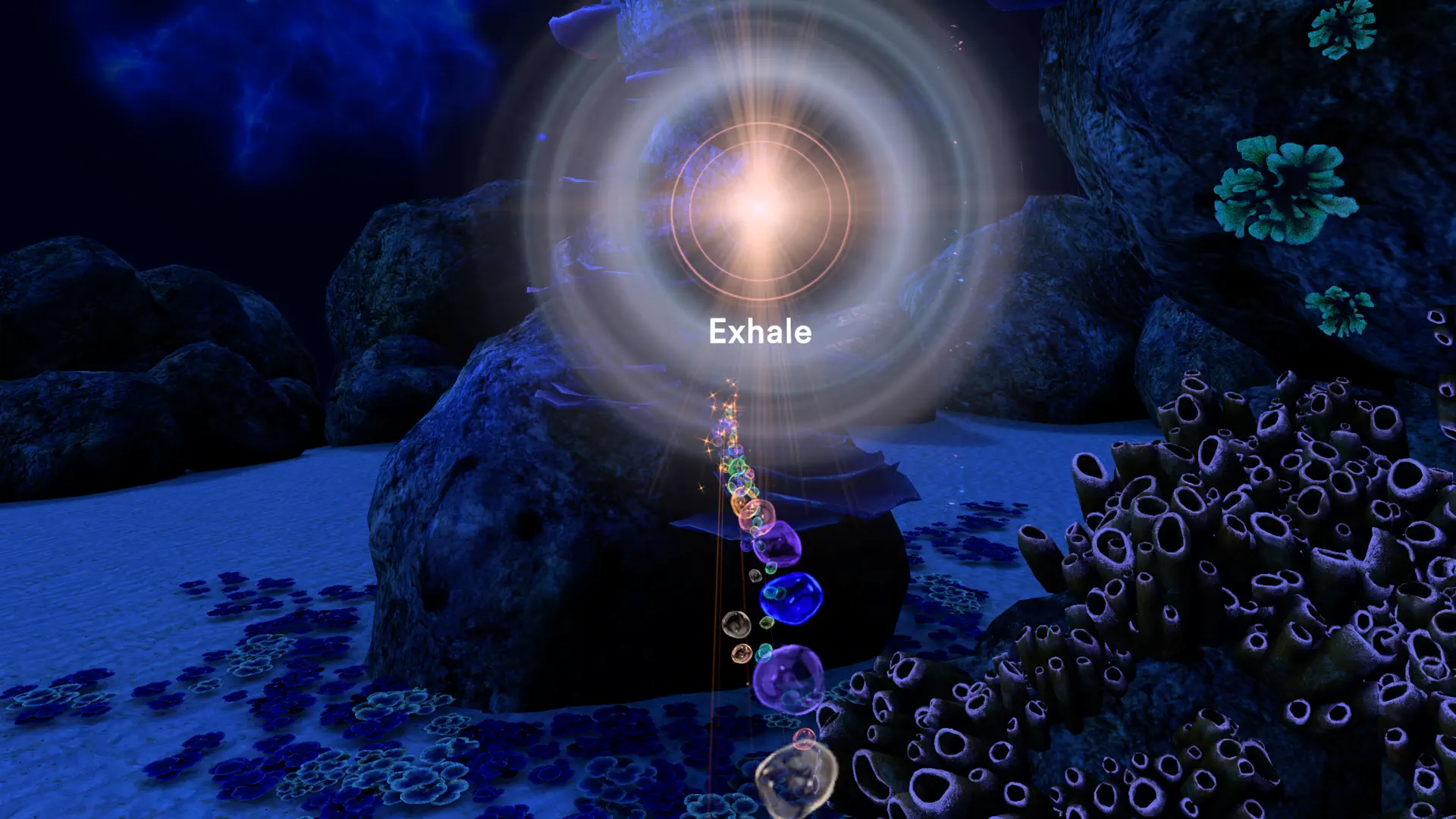 TRIPP Vision screenshot 3