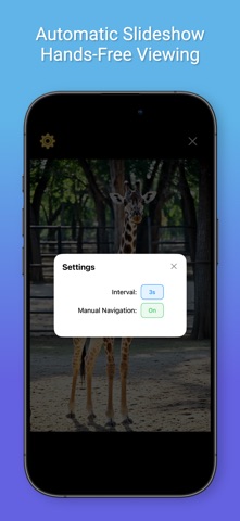 Little Eyes Gallery screenshot