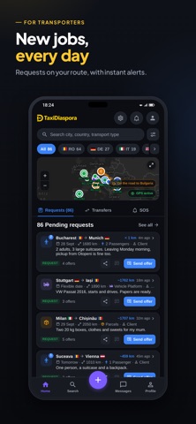 TaxiDiaspora screenshot 6