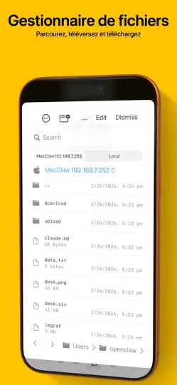 Capture d'écran de La Terminal: Mosh & SSH sur iPhone 4