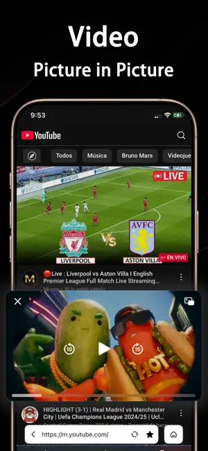Float Tube：PiP for Video&Music screenshot 1