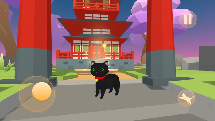 My Little Cat Lost In Big City