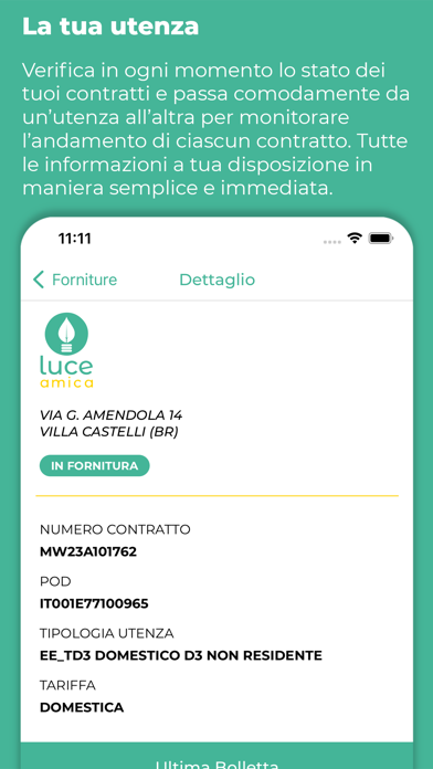 Influencer Green Screenshot