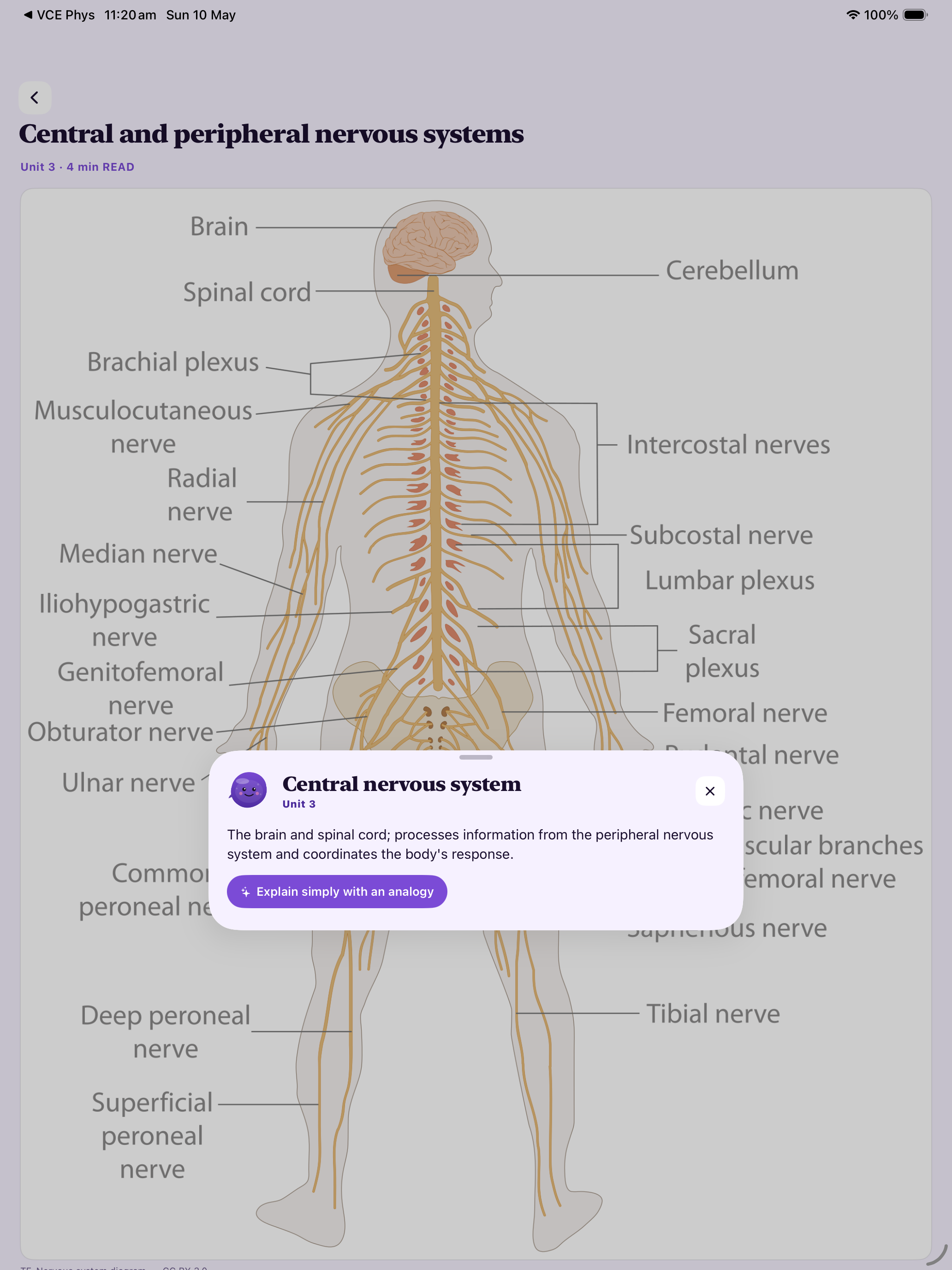 VCE Study Psychology screenshot 11