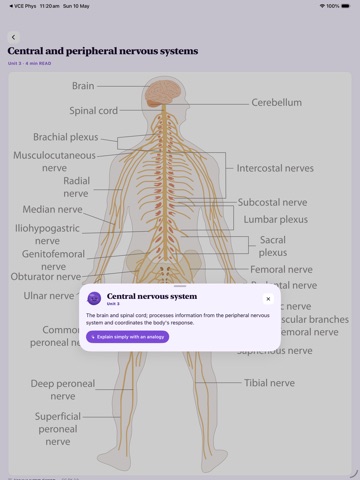 VCE Study Psychology iPad screenshot