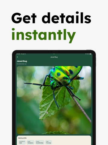 Insect Identifier - Insectr iPad screenshot