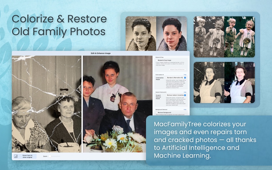 #4. MacFamilyTree 11 (macOS) Por: Synium Software GmbH
