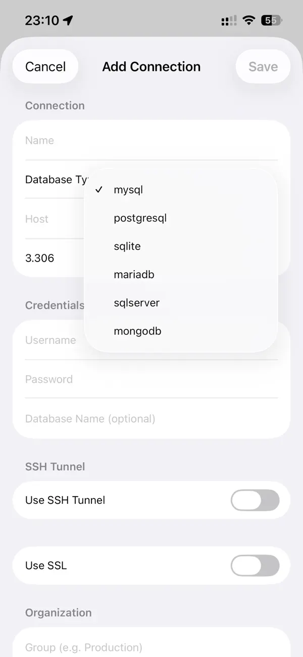 #3. Master SQL - Database Manager (iOS) De: SECKIN SEFA DURASI