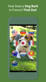 Animal Sounds Translator screenshot