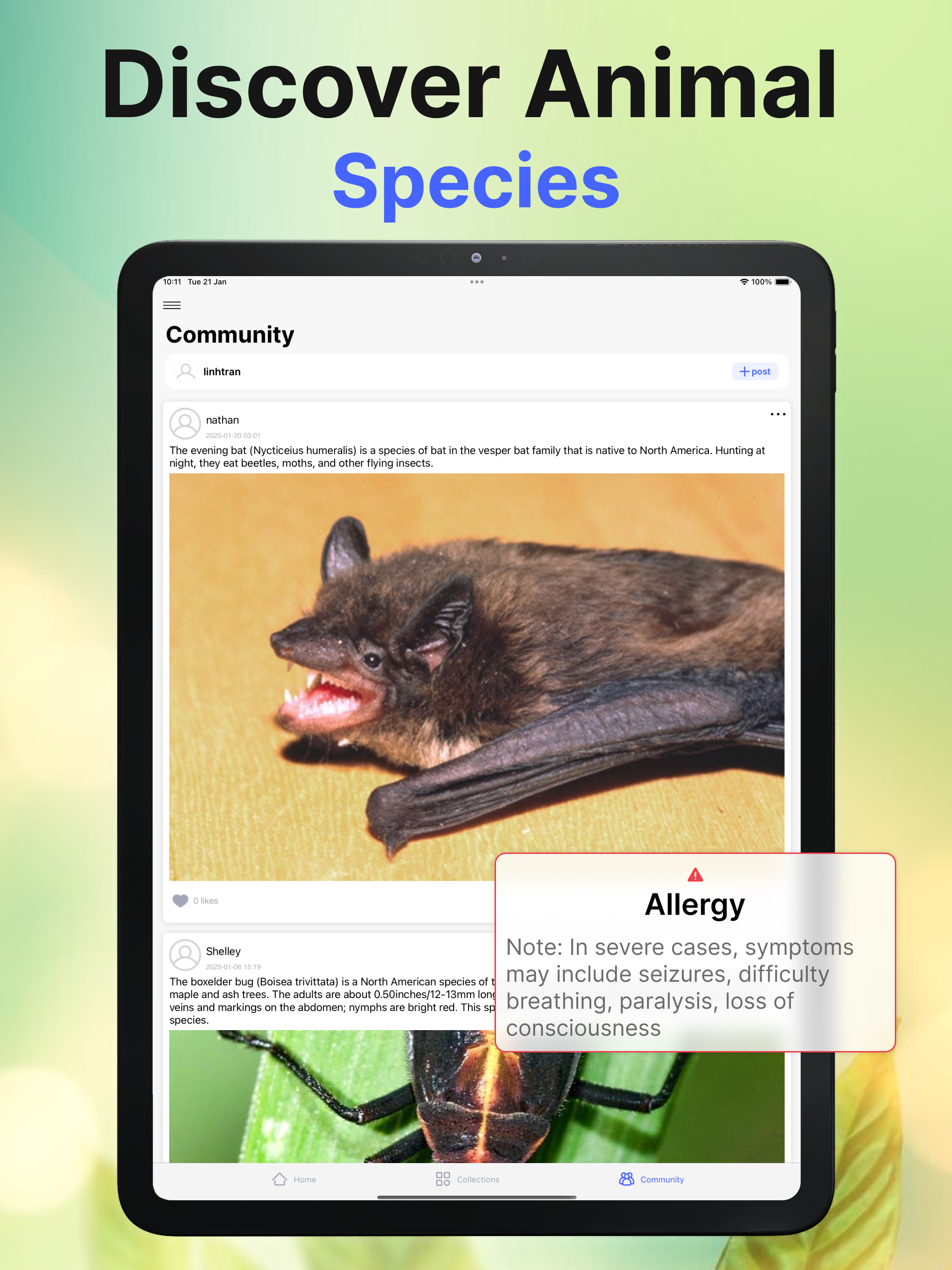 Bug Identifier Insect Finder