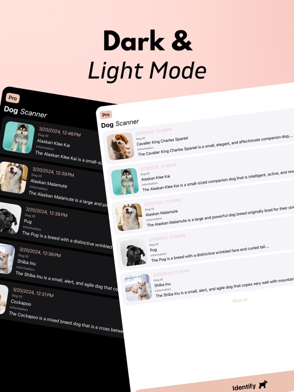 Dog Scanner Breed Identifier iPad screenshot 8 - Education app
