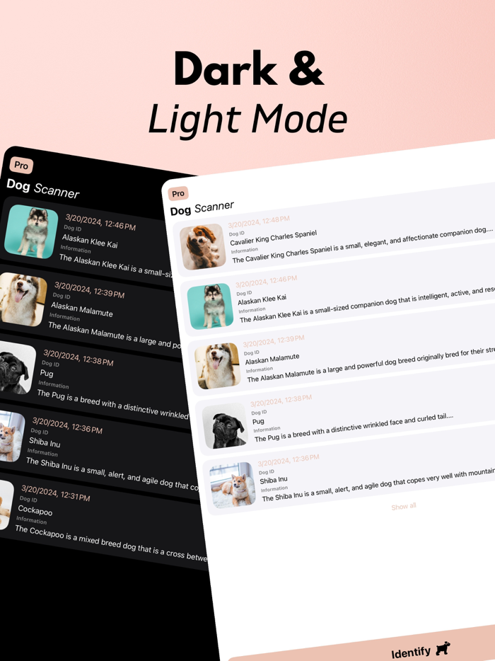 Dog Scanner Breed Identifier