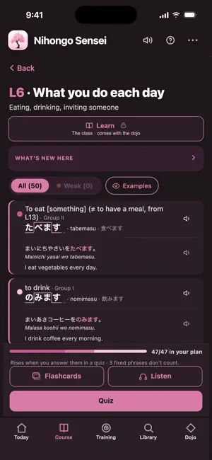 Nihongo Sensei: Minna screenshot 3