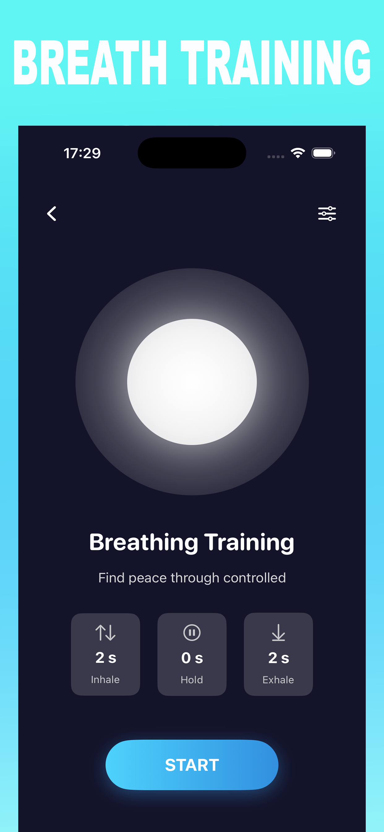 Pacification screenshot 2