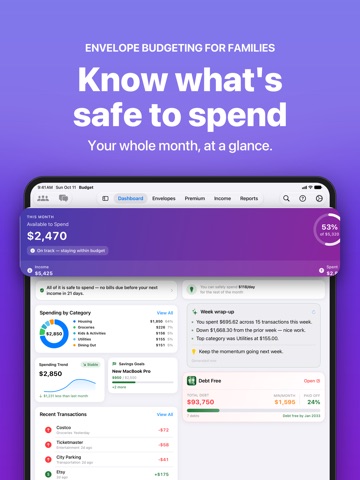 Budget Envelopes iPad screenshot