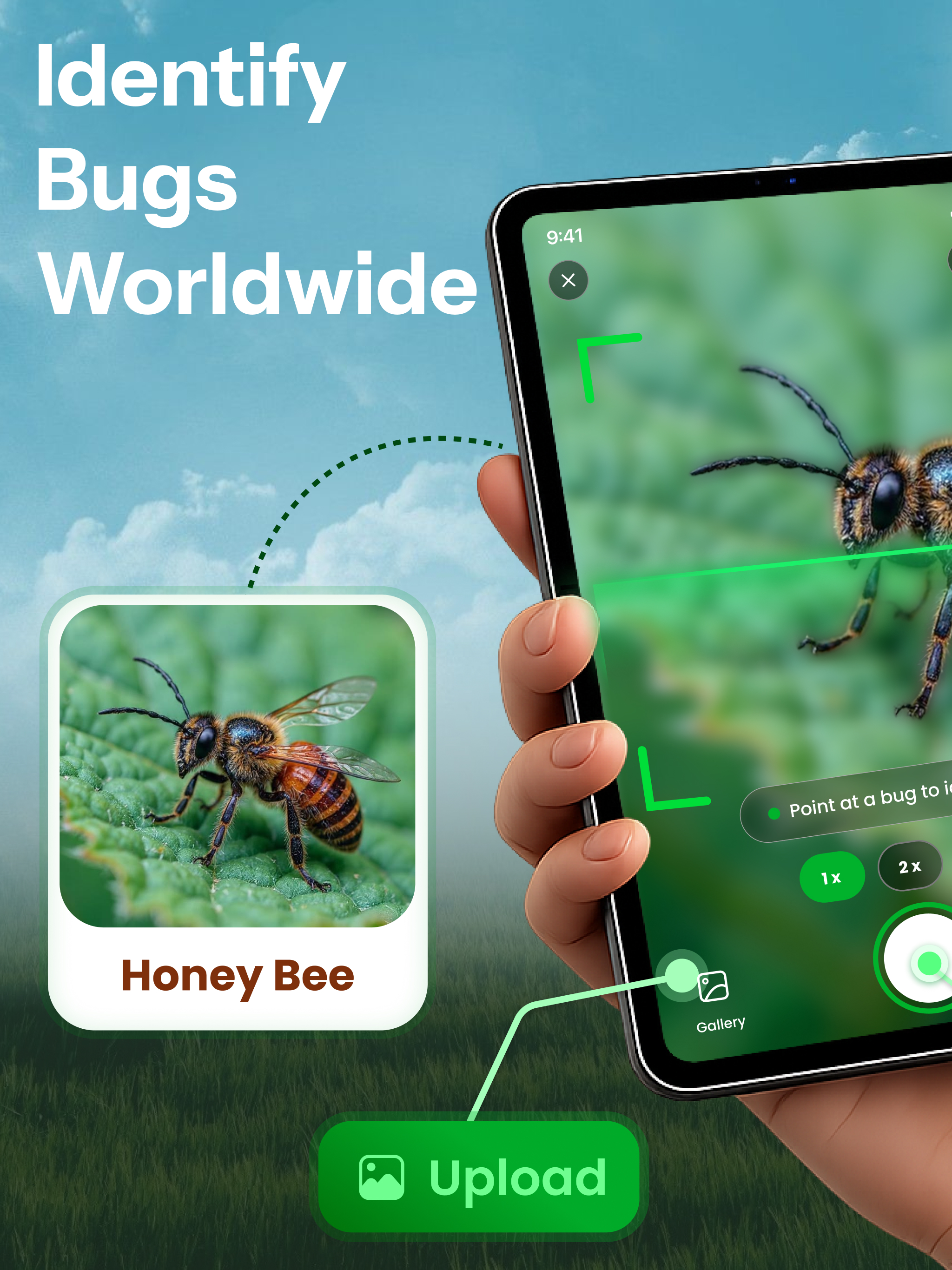 Bug Identifier- Scan Insect ID screenshot 11