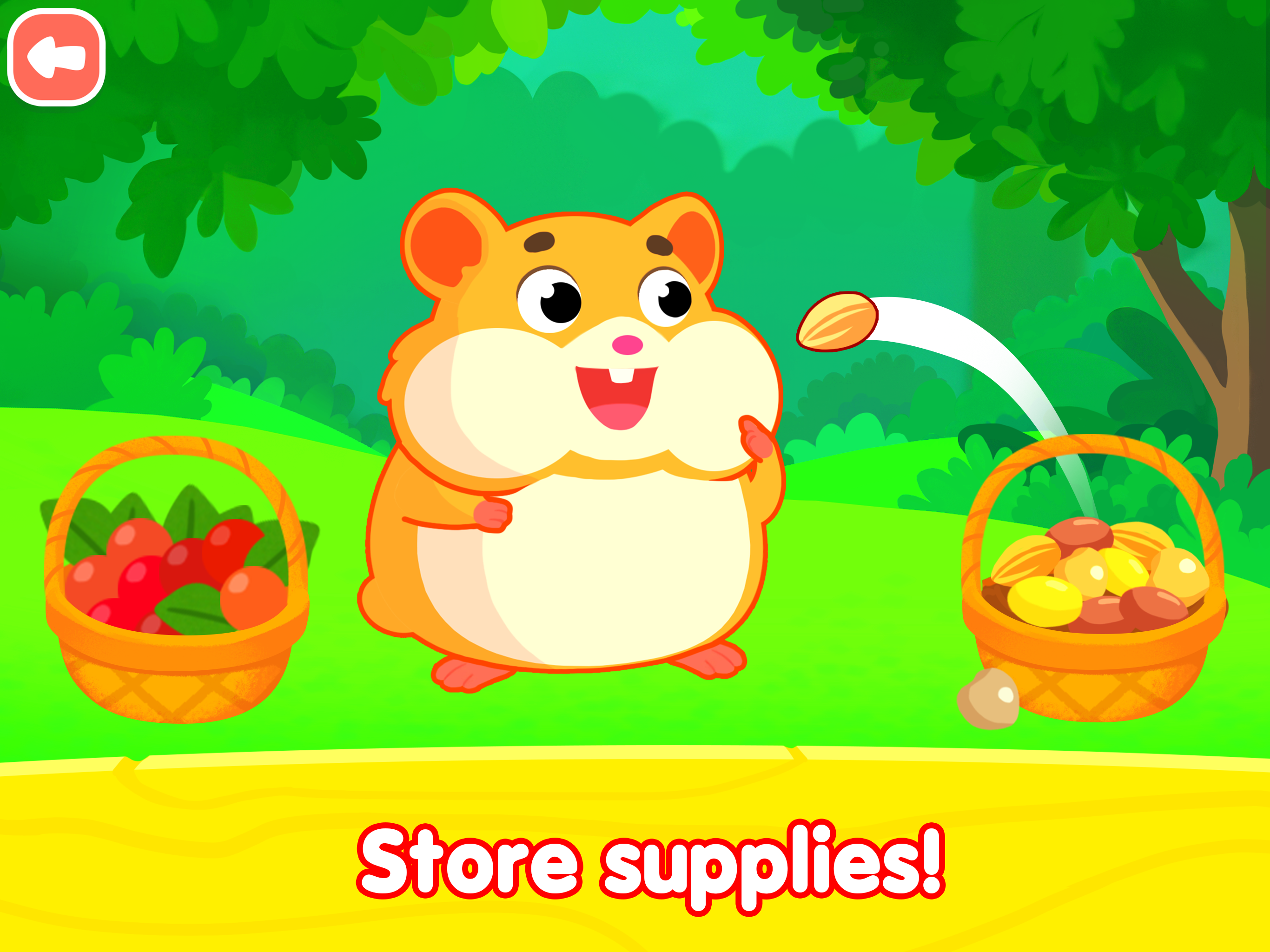 Forest animal Fun nature games screenshot 11