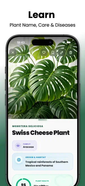 Plantiv: Plant Identifier screenshot 4
